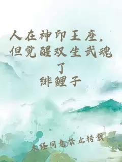 人在神印王座，但觉醒双生武魂了