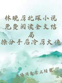 林晚厉北琛小说免费阅读全文结局